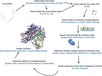 Progress in Vaccinology